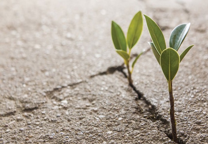 راههای تقویت امید در زندگی راههای تقویت امید در زندگی