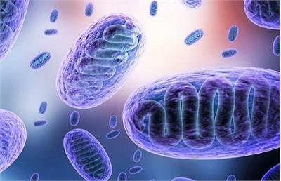 از عفونت قارچ سیاه چه میدانیم؟ از عفونت قارچ سیاه چه میدانیم؟