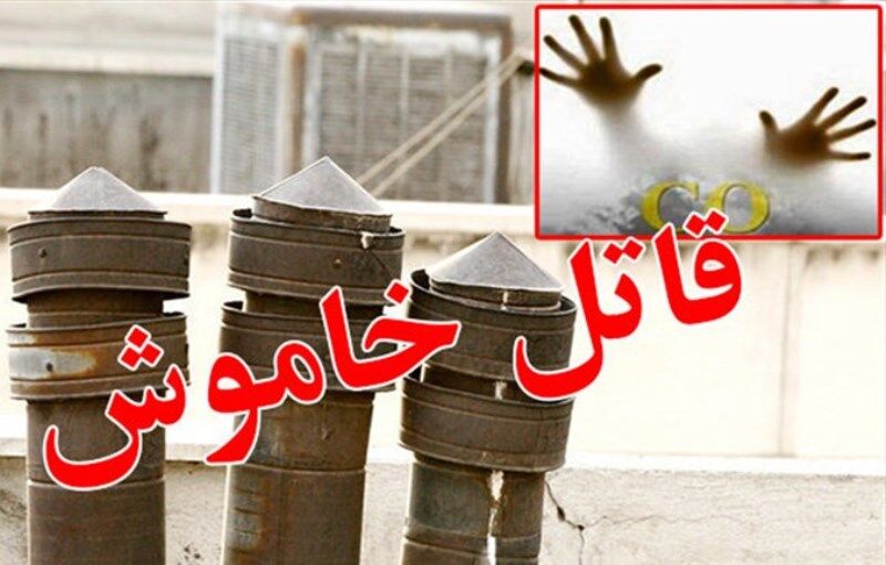قاتل خاموش جان مادر و پسر را گرفت قاتل خاموش جان مادر و پسر را گرفت
