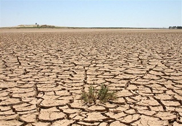 ۲۰ تریلیون دلار خسارت ناشی از تغییر کاربری زمین در جهان است