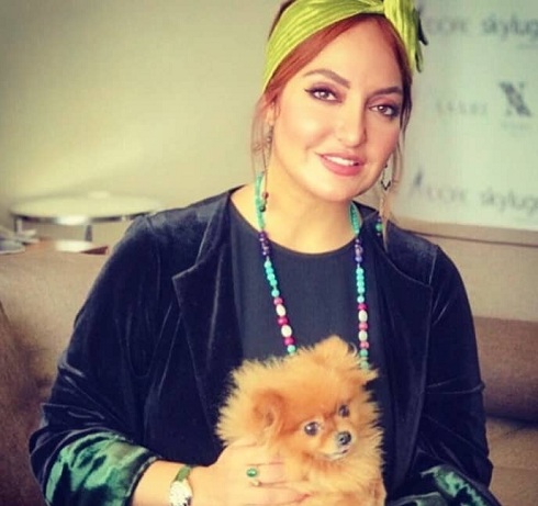 مهناز افشار