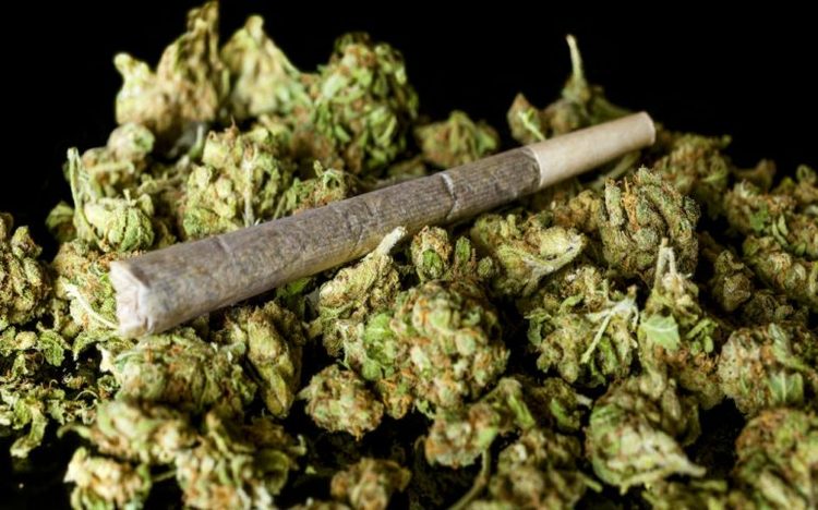 مخدر قورباغه نداریم/ انتقاد پلیس از سریال های خانگی مخدر قورباغه