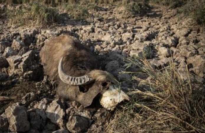 وضعیت بحرانی هورالعظیم وضعیت بحرانی هورالعظیم