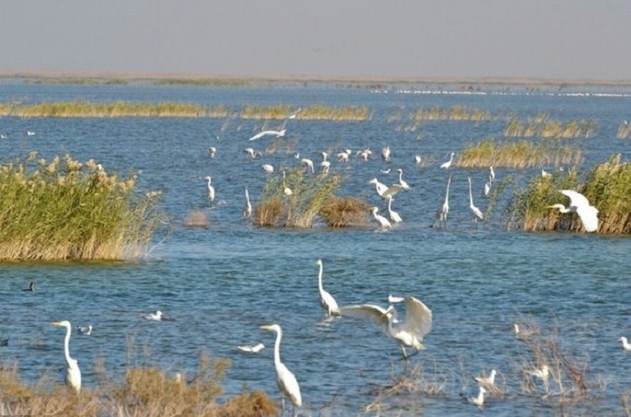 وضعیت بحرانی تالاب هورالعظیم وضعیت بحرانی تالاب هورالعظیم