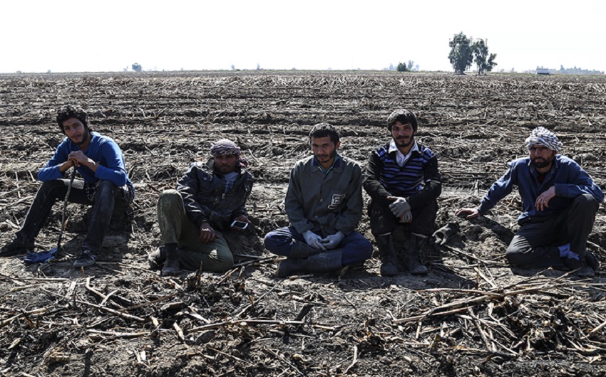 آخرین وضعیت کارگران هفتتپه آخرین وضعیت کارگران هفتتپه