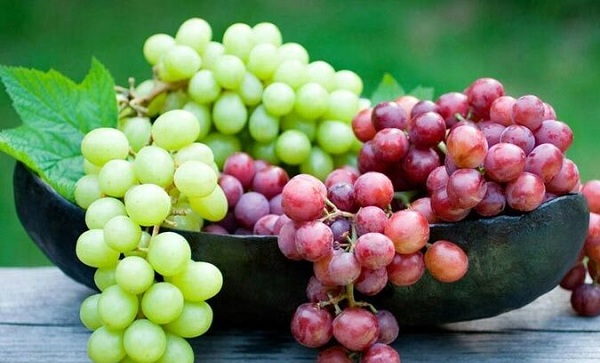 مضرات مصرف انگور مضرات مصرف انگور