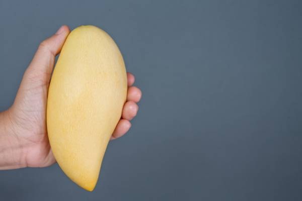 فریز کردن انبه