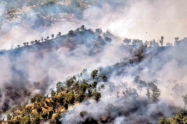 آتش سوزی در زاگرس آتش سوزی در زاگرس