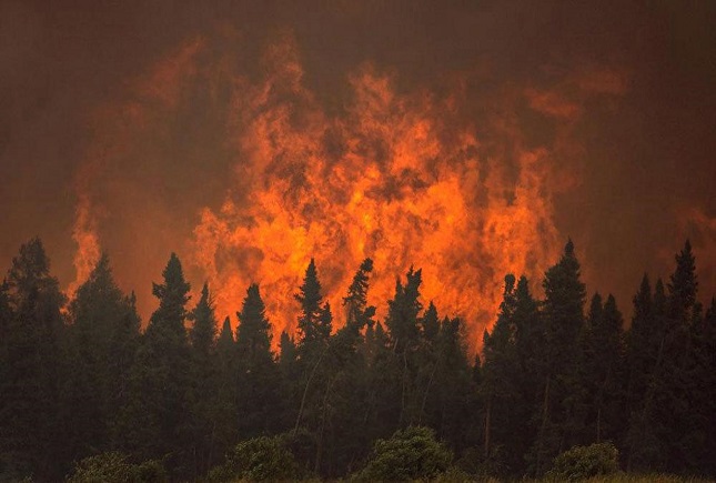 آتش سوزی جنگل های زاگرس آتش سوزی جنگل های زاگرس