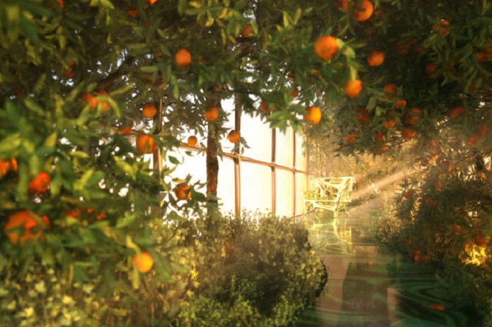 ریلی با قصر شیشهای ریلی با قصر شیشهای