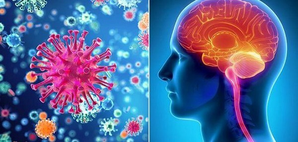 اعصاب محیطی چیست اعصاب محیطی چیست