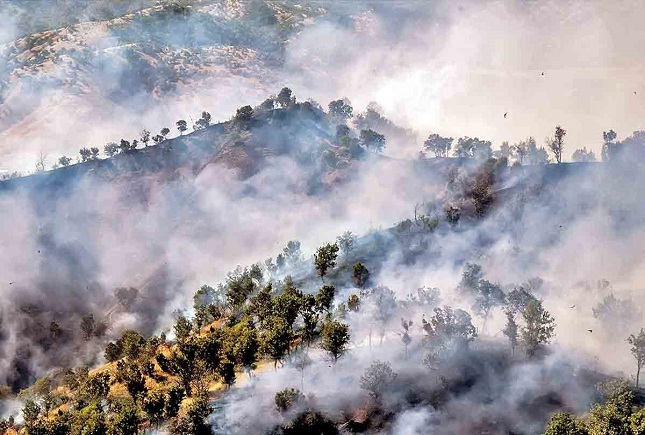 زاگرس می سوزد زاگرس می سوزد