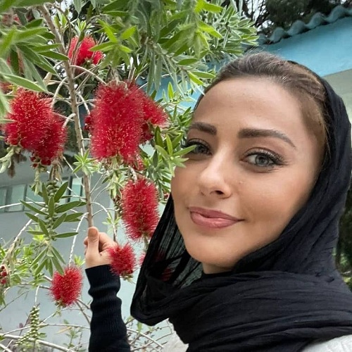 نفیسه روشن نفیسه روشن