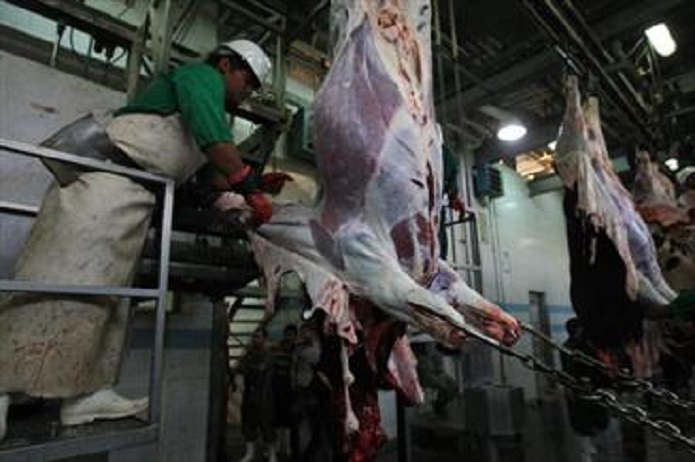 قربانیکردن ۱۰۰۰ راس گوساله برای مددجویان عید قربان