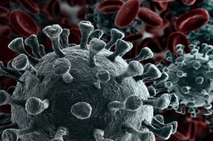 ایران در وضعیت قرمز کرونا/ نشانههای موج پنجم را در نمودارها ببینید آمار کرونا در ایران