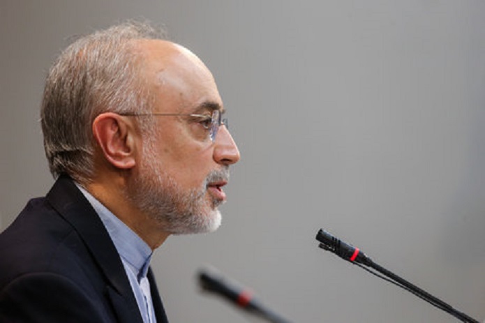 نیروگاه هستهای بوشهر تا دو روز آینده وارد مدار تولید میشود صالحی