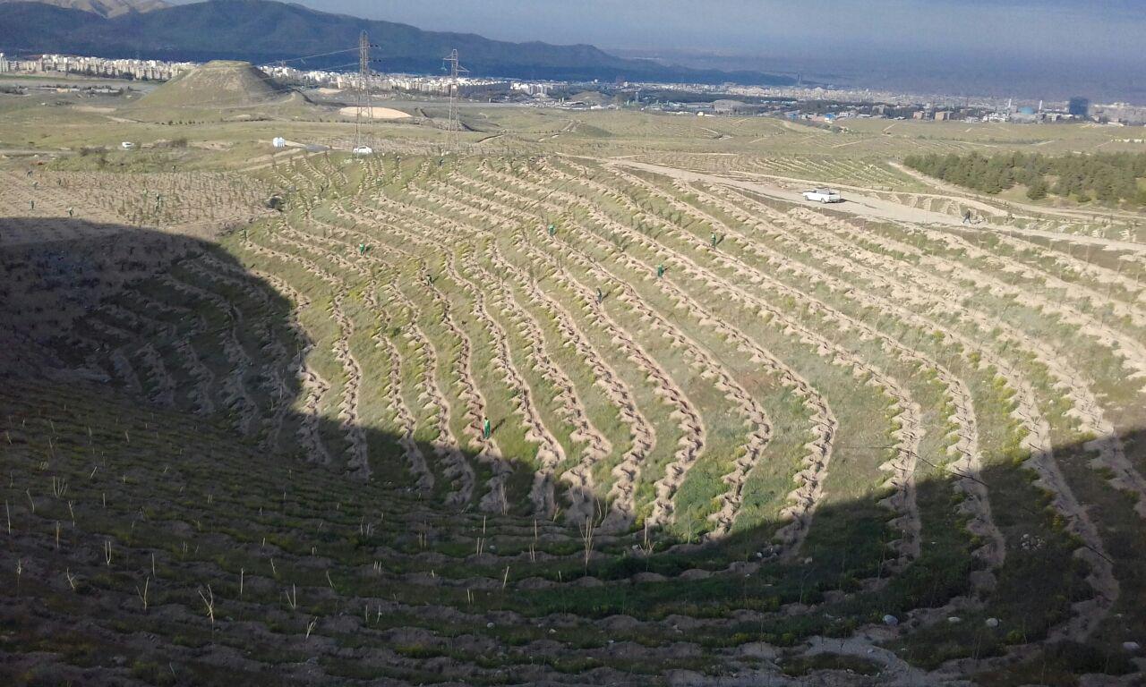 کمربند سبز تهران کمربند سبز تهران