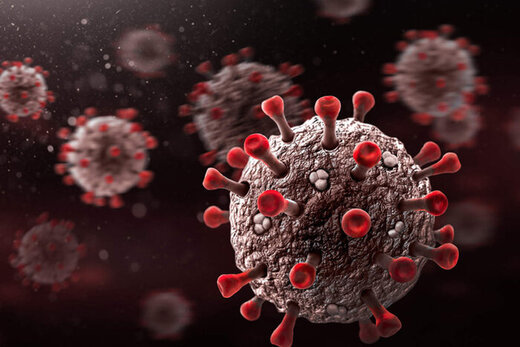 مبتلایان به ویروس کرونا مبتلایان به ویروس کرونا