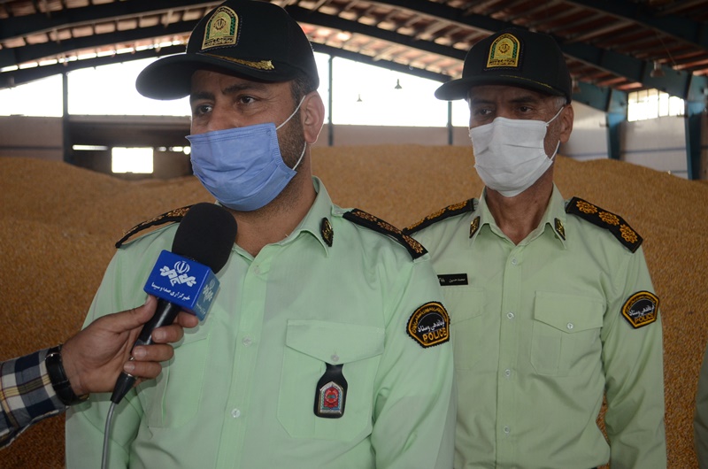 احتکار هزار و ۹۰۰ تنی نهادههای دامی در یک انبار نهاده های دامی