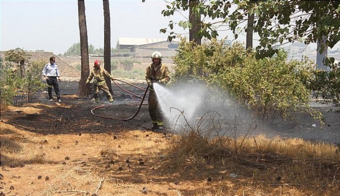 آتش سوزی در باغ ۴ هکتاری/ بساط مرد دست فروش سوخت آتش سوزی باغ