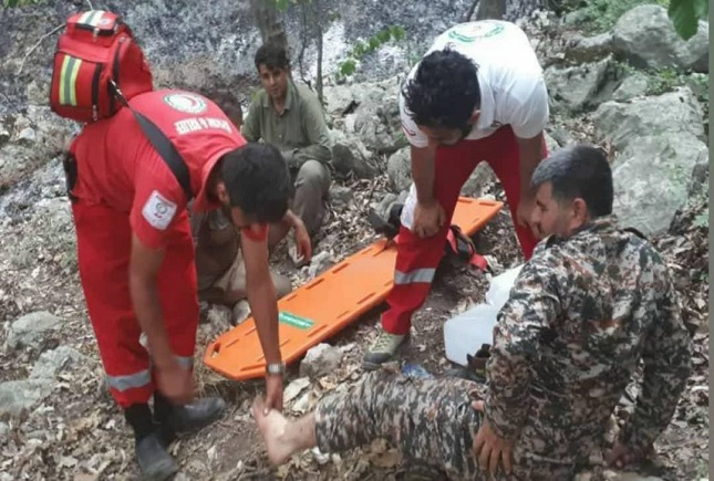 آتش سوزی در جنگلها آتش سوزی در جنگلها