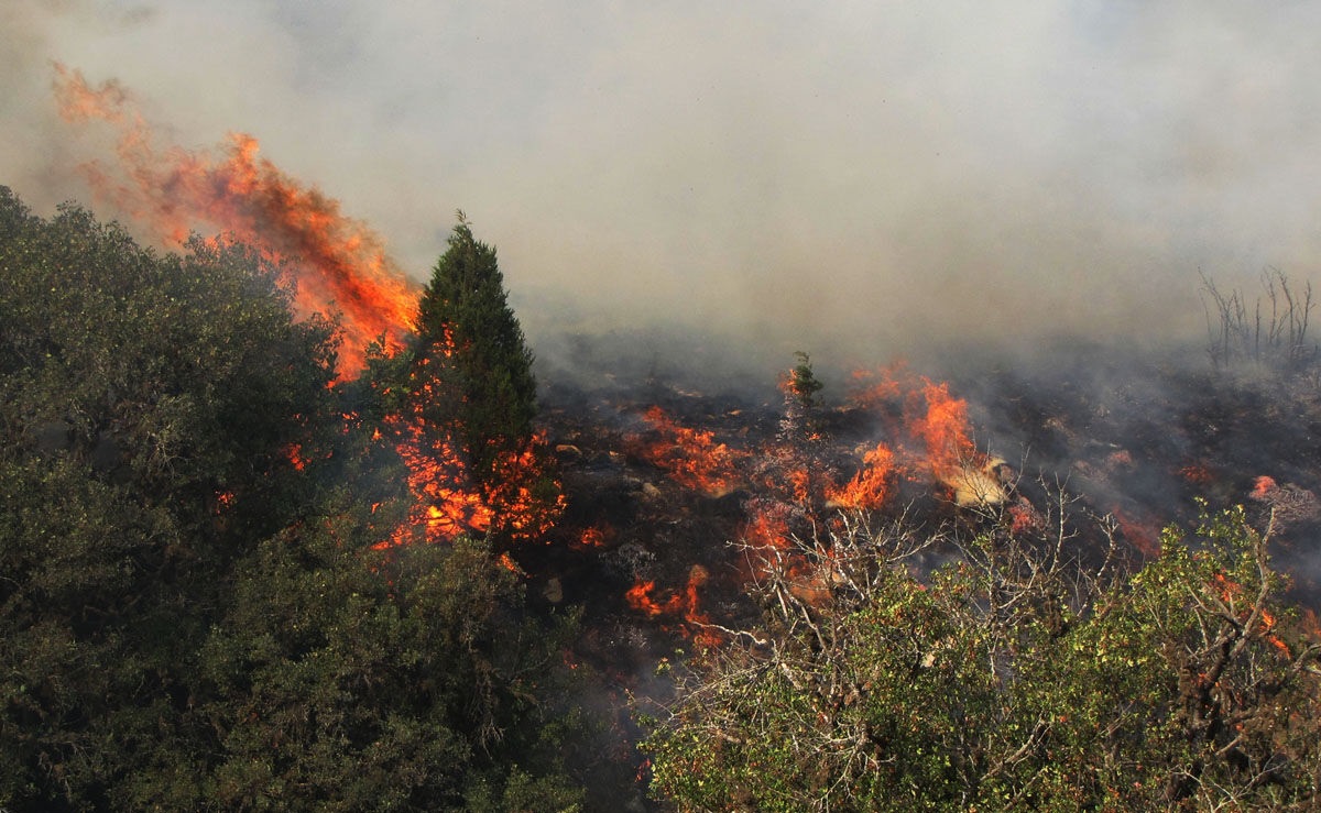اعزام بالگردهای اطفای حریق وزارت دفاع به استان گلستان اعزام بالگردهای اطفای حریق وزارت دفاع به استان گلستان