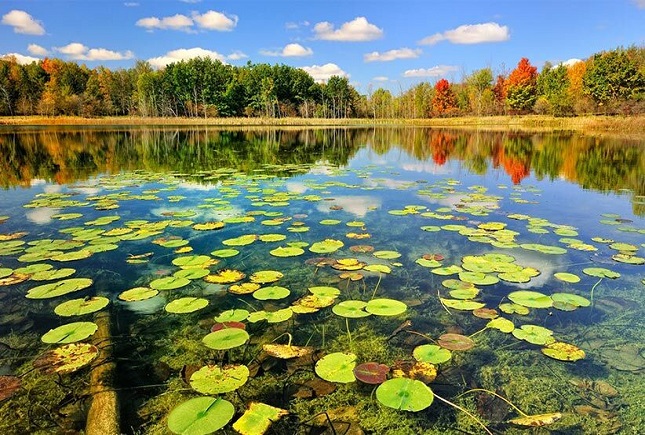 لغو واگذاری مالکیت تالابها لغو واگذاری مالکیت تالابها