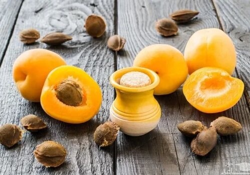 مضرات هسته زردآلو مضرات هسته زردآلو