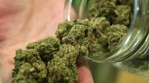 گل فروشان شمال تهران دستگیر شدند گل فروشان