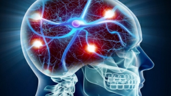 تاثیر هورمونهای استرس بر مغز تاثیر هورمونهای استرس بر مغز