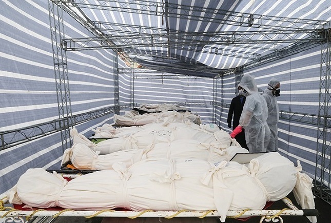 مرگ های کرونایی مرگ های کرونایی