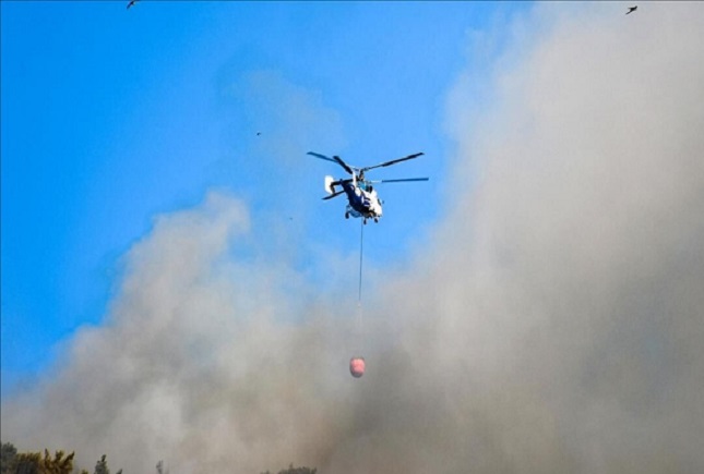 مهار آتش سوزی در ۲۰ هکتار از جنگلهای صفر مرزی سردشت مهار آتش سوزی در ۲۰ هکتار از جنگلهای صفر مرزی سردشت