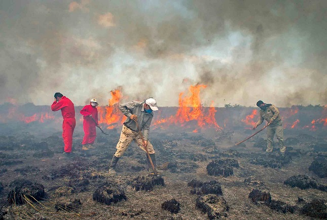 آتش سوزی در میانکاله آتش سوزی در میانکاله