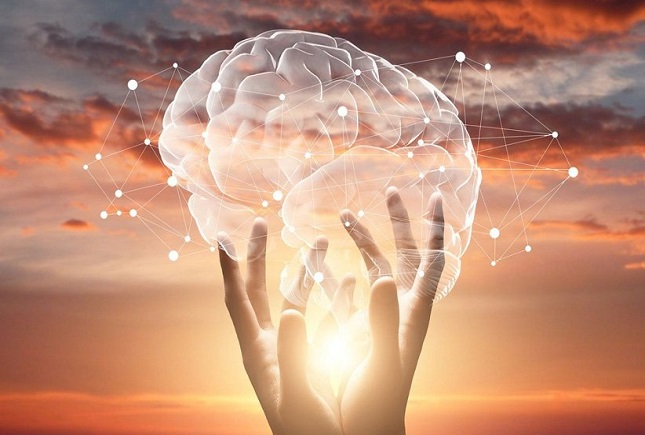 سم زدایی از مغز سم زدایی از مغز