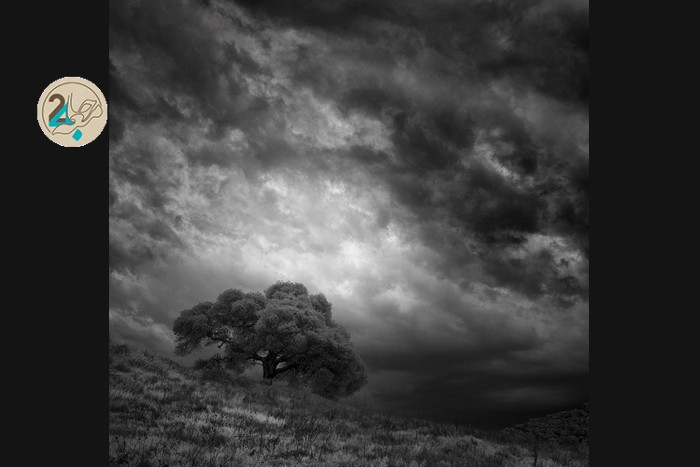 مجموعه عکس « تکههایی از سکوت »/ تصاویر مجموعه عکس « تکههایی از سکوت »/ تصاویر