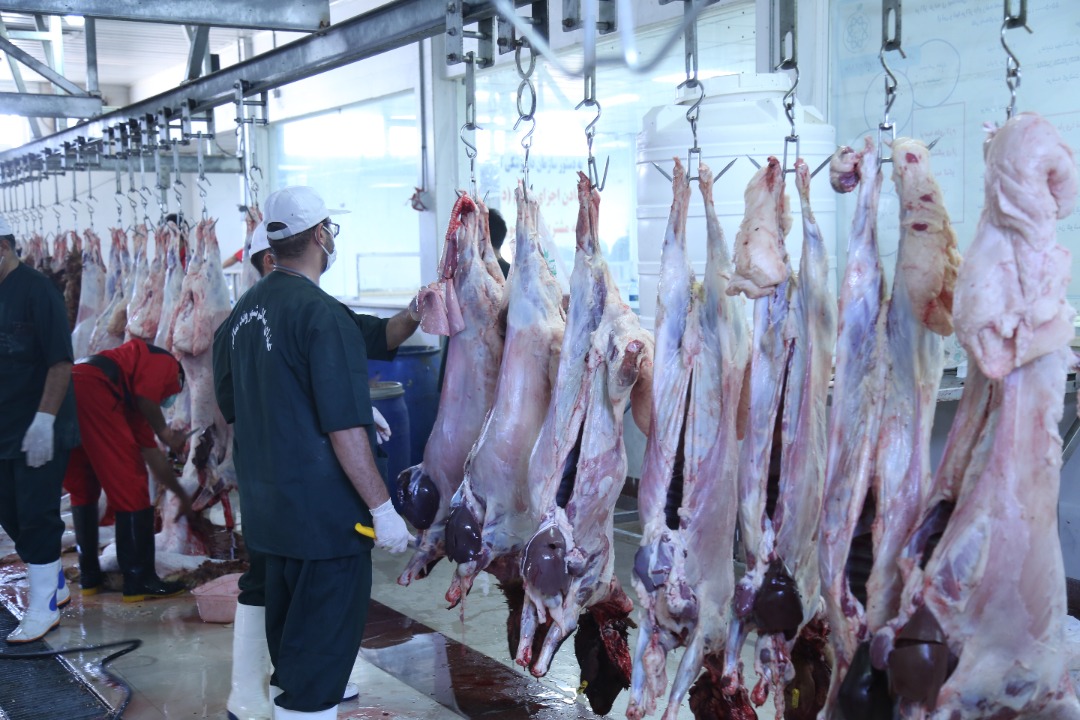 جایگاههای عرضه بهداشتی دام تاسوعا و عاشورا باز هستند جایگاههای عرضه بهداشتی دام تاسوعا و عاشورا باز هستند