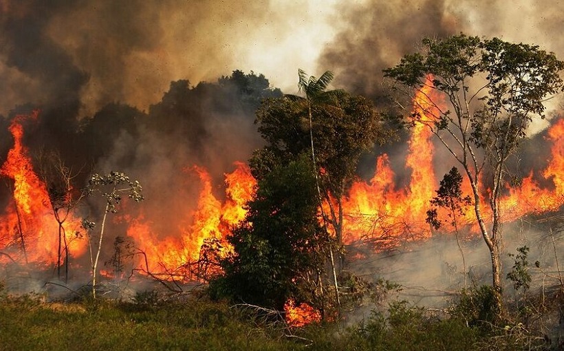 آتشافروزیهای سیستماتیک در جنگلهای زاگرس آتشافروزیهای سیستماتیک در جنگلهای زاگرس