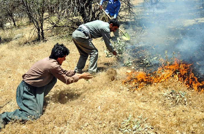 آتشسوزی در جنگلهای زاگرس آتشسوزی در جنگلهای زاگرس