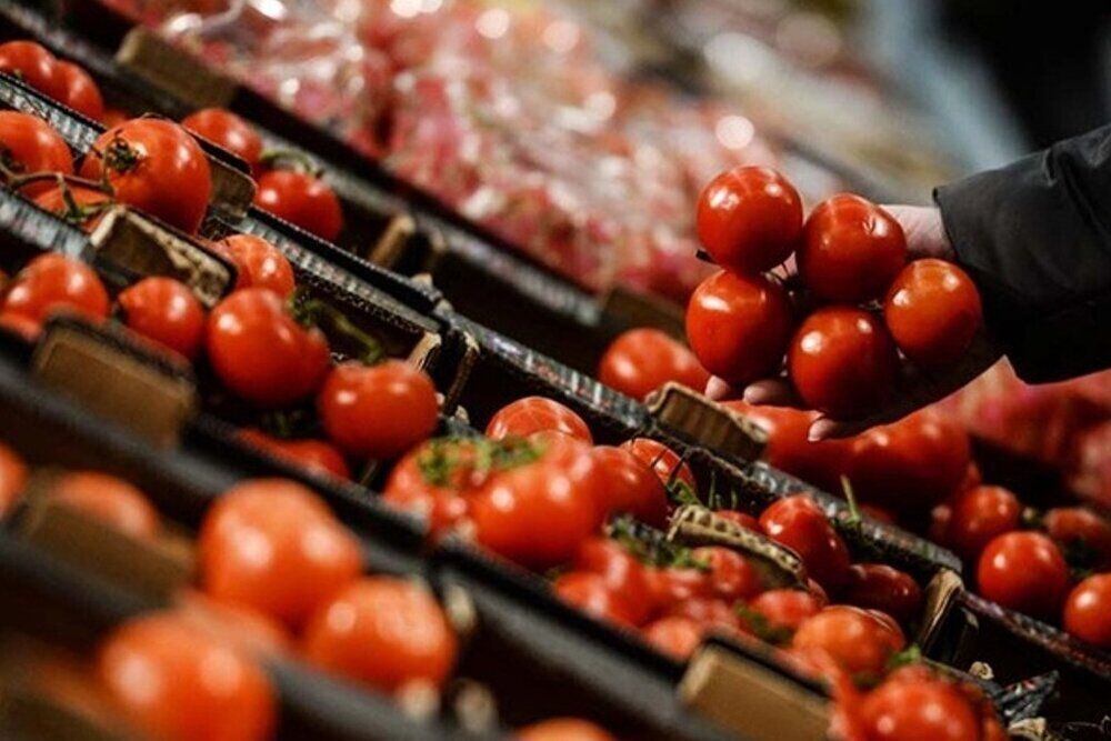 قیمت گوجه فرنگی به بیش از ۱۰ هزارتومان رسید