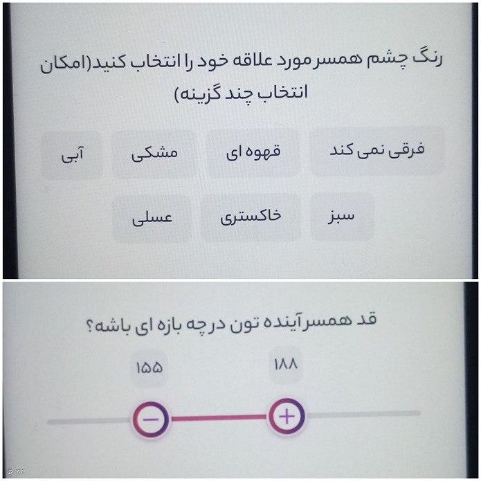پیدا کردن همدم زندگی در فضای مجازی