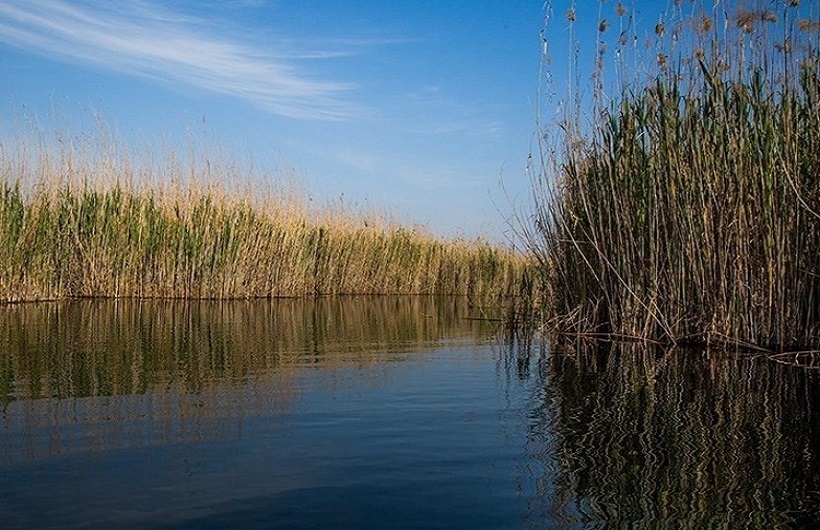 مشکلات تالاب ها مشکلات تالاب ها