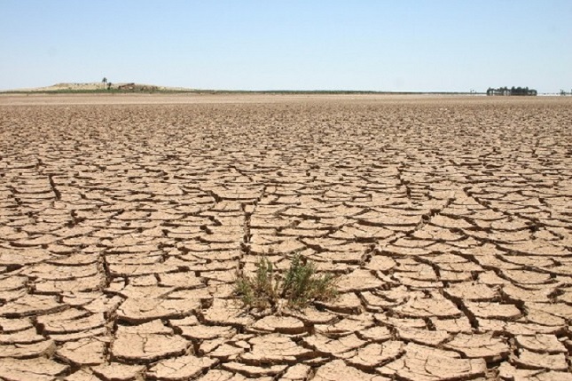 نتیجه مدیریت نادرست عطش دشتها و رودخانهها نتیجه مدیریت نادرست عطش دشتها و رودخانهها