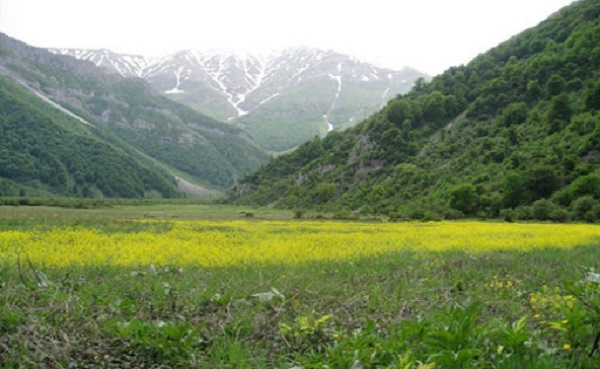 دشت تبریز دشت تبریز