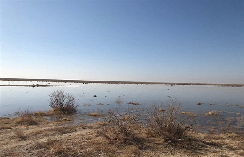 تلاش برای تعیین حقآبه مناسب برای تالاب بندعلیخان تلاش برای تعیین حقآبه مناسب برای تالاب بندعلیخان