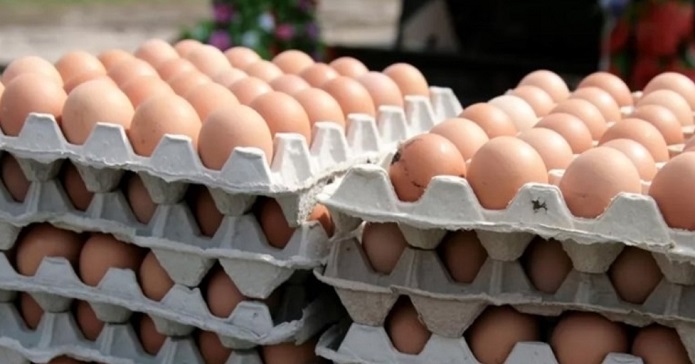 تخم مرغ دانهای ۱۶۰۰ تومان تخم مرغ