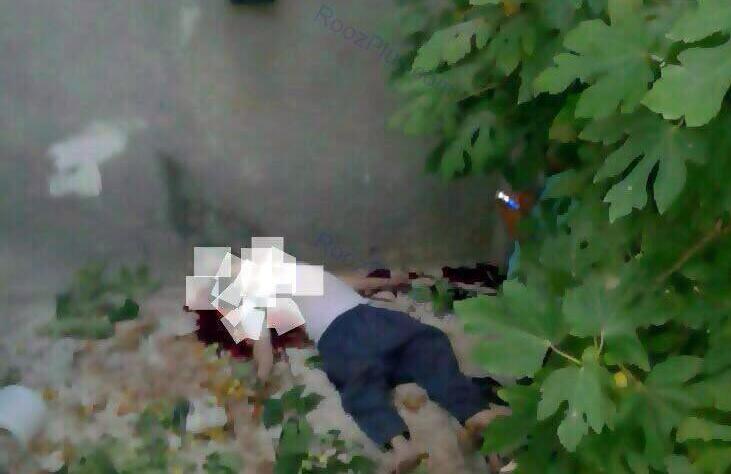 سقوط از درخت