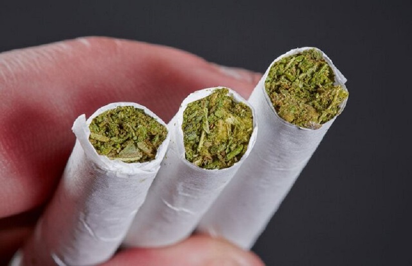 مجازات مصرف گل 