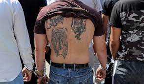 عاملان حمله به شهروندان در تهران دستگیر شدند اراذل خیابان باستان