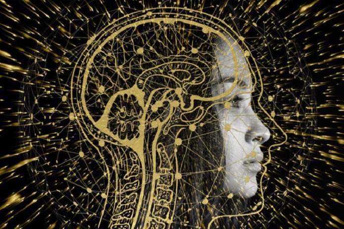 دو عملکرد مغز که با افزایش سن تقویت میشوند عملکرد مغز