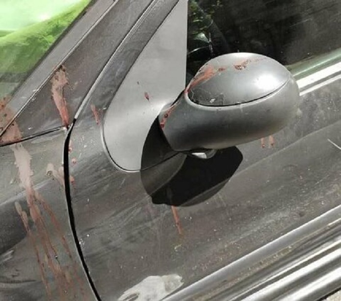  سردبیر مشرق نیوز